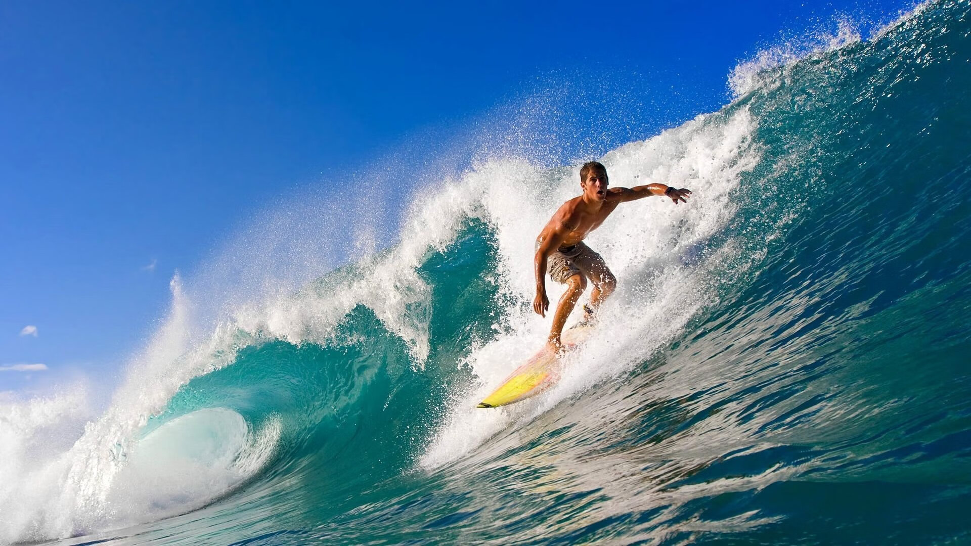 掘金迎来重要球员复出,战力大增,掘金球员介绍